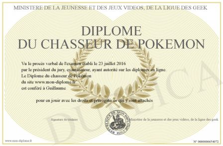 700-654072-Diplome_du_chasseur_de_Pokemon.jpg